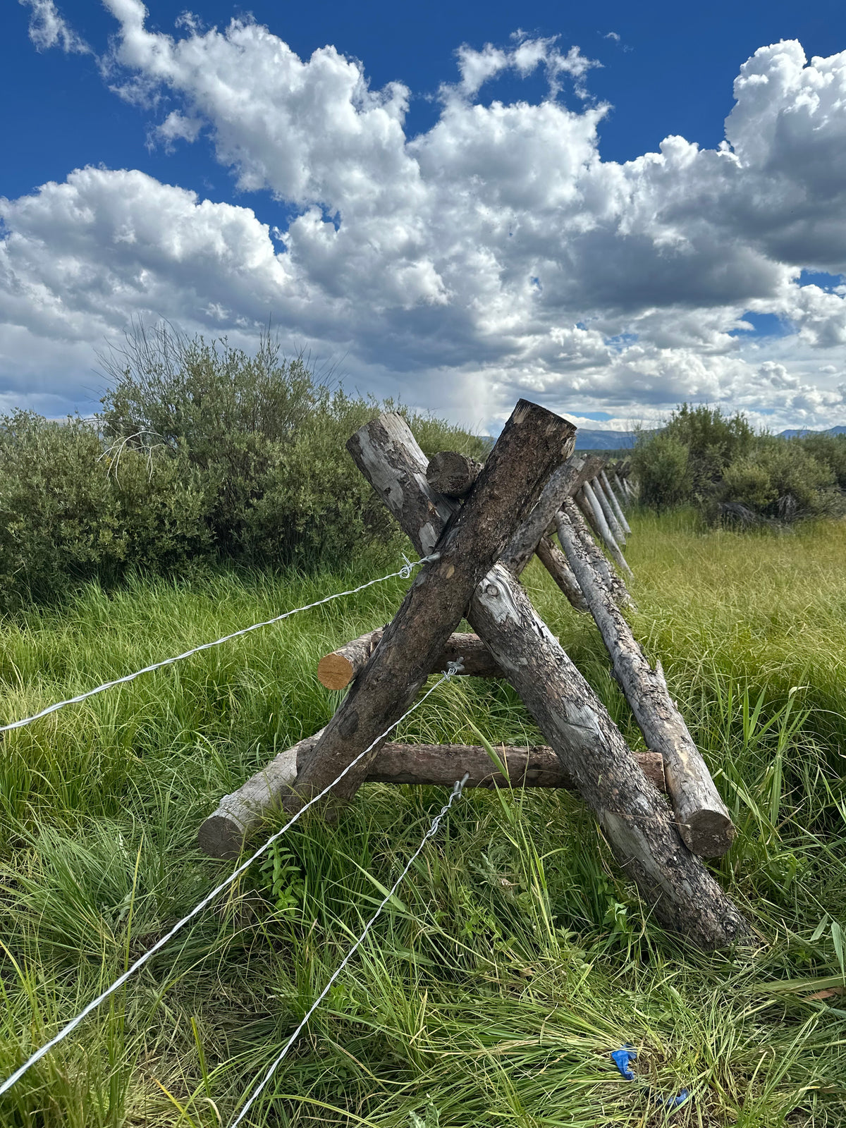 Buck N Rail