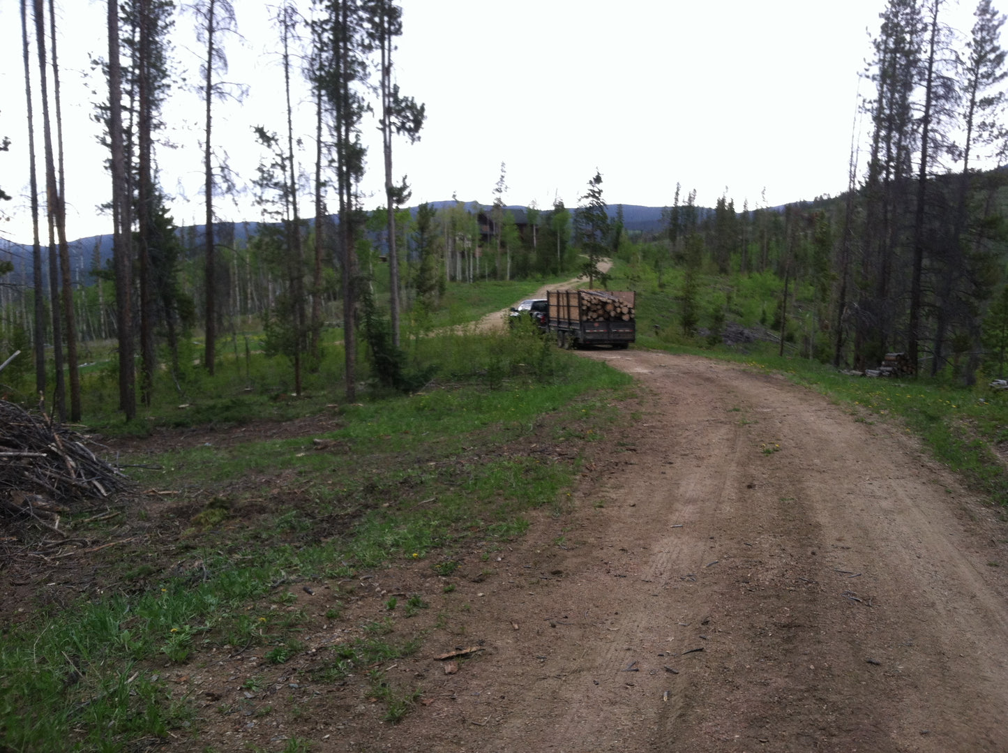 Forestry Thinning