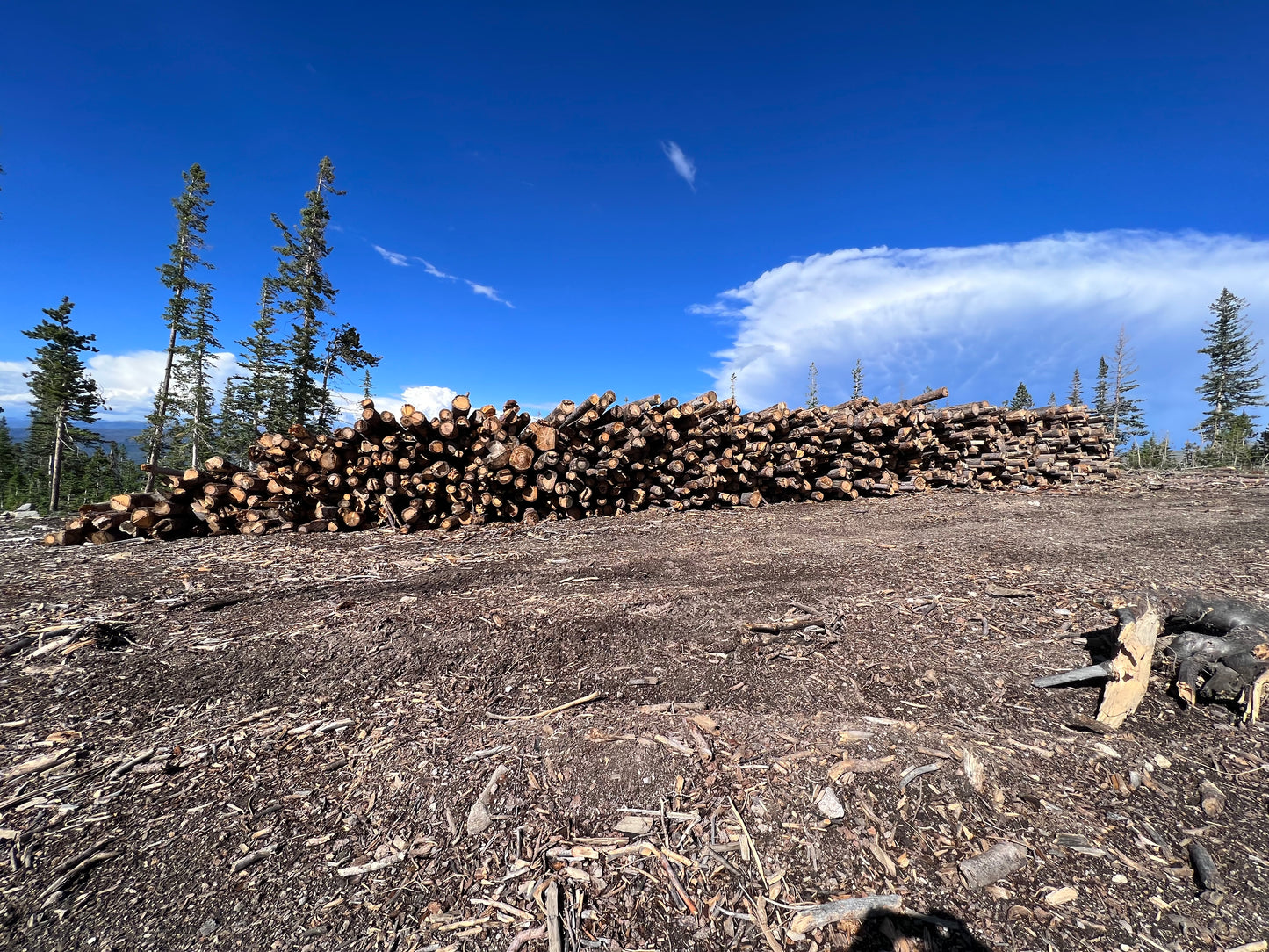 Land Clearing