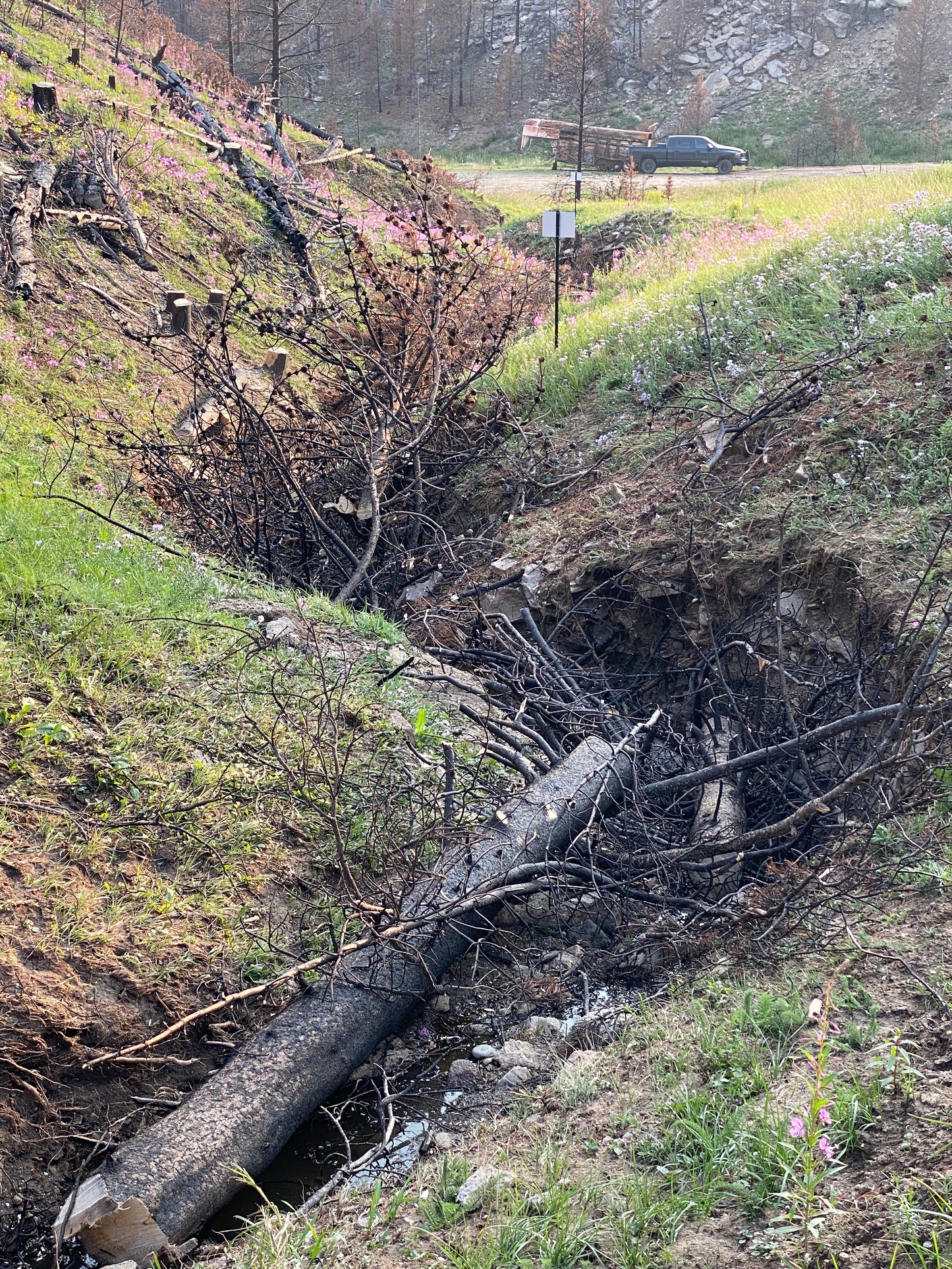 Land Restoration