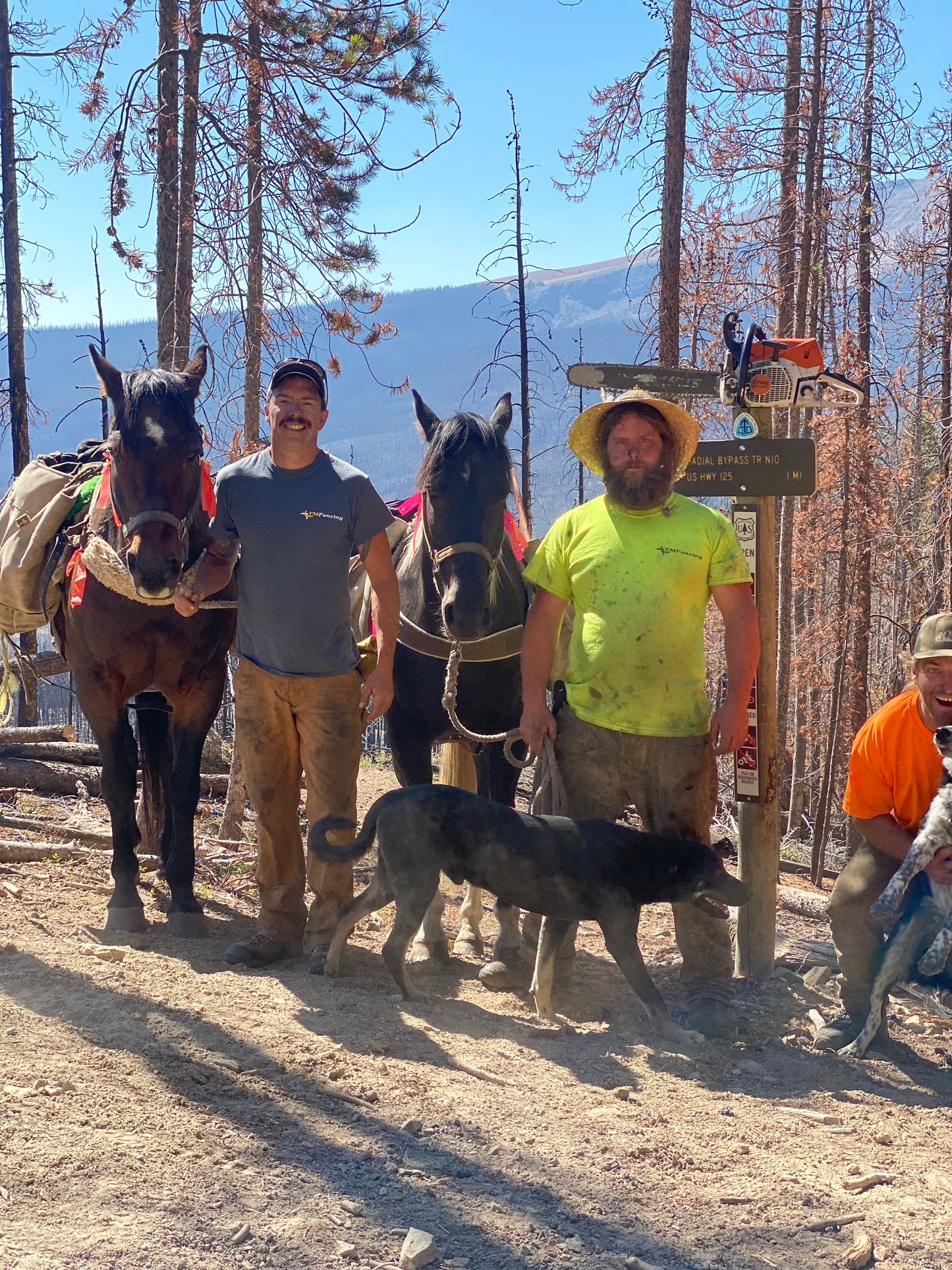 Trail Clearing