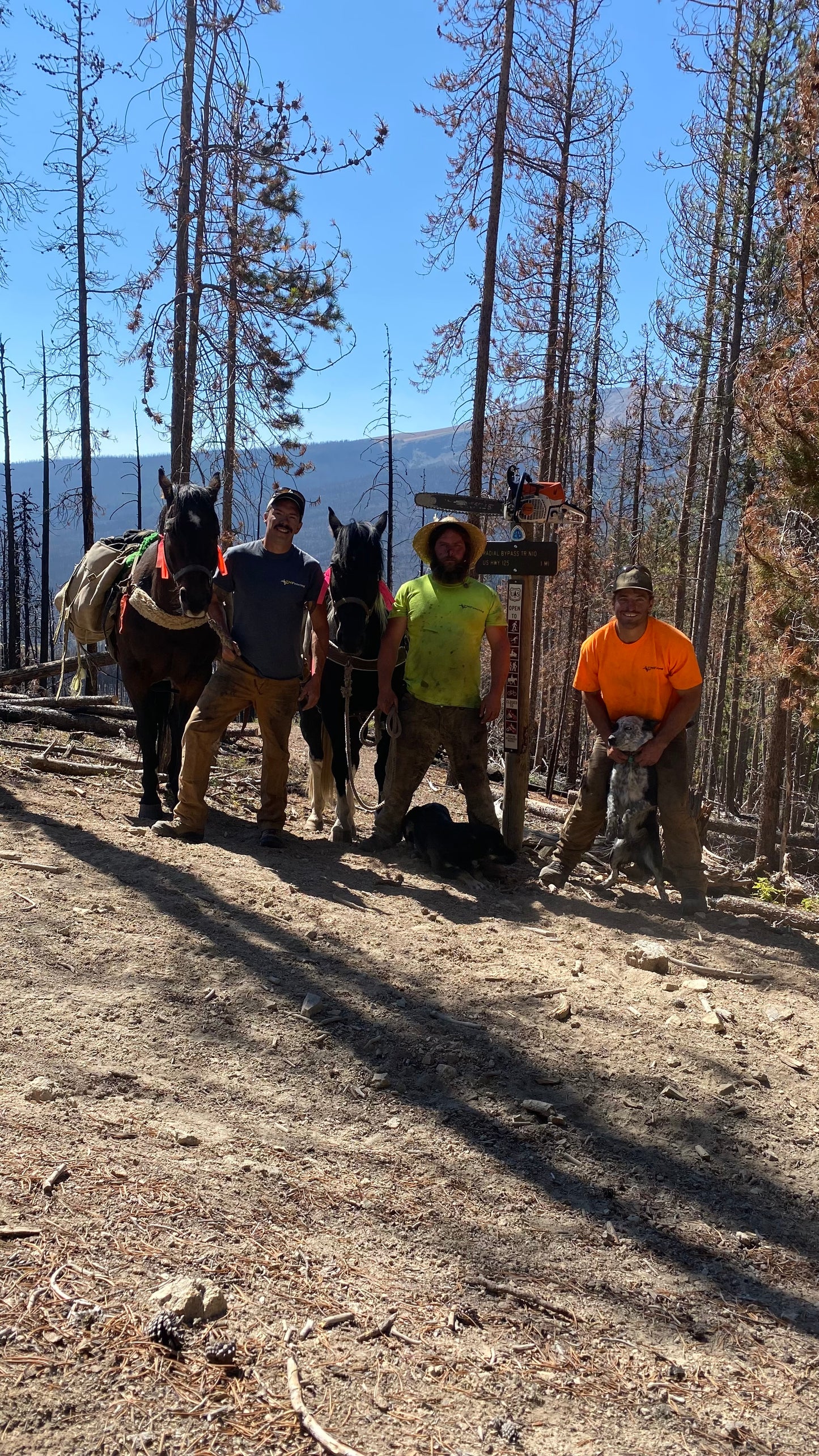 Trail Clearing