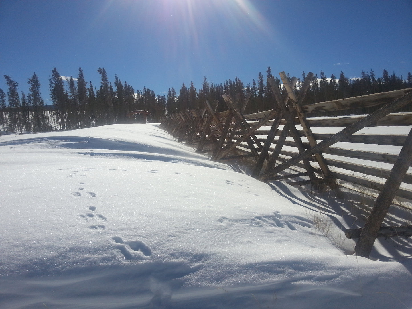 Snow Fences