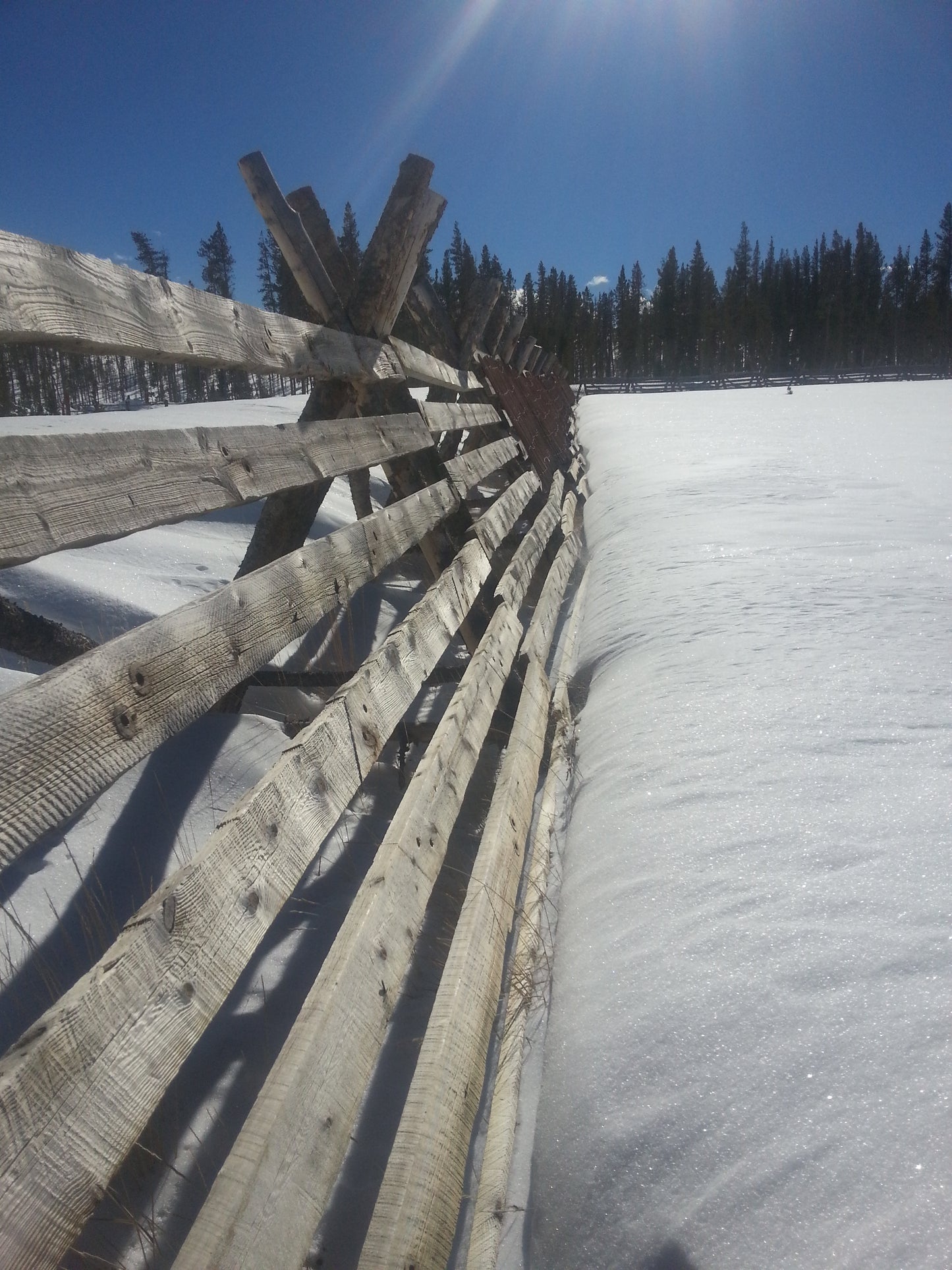 Snow Fences