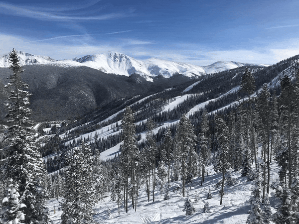 Ski Area Glading