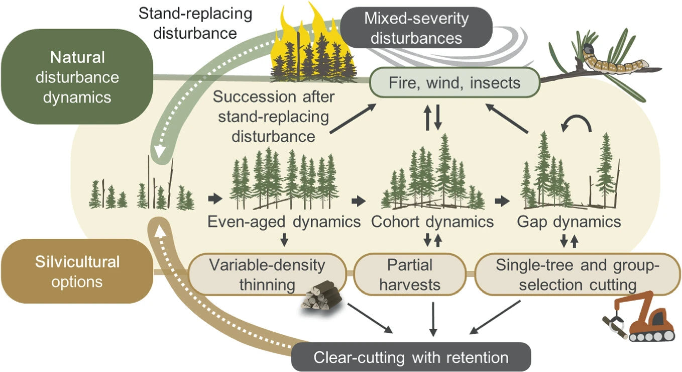 Silviculture