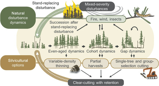 Silviculture