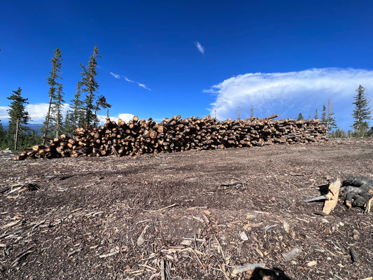 Land Clearing
