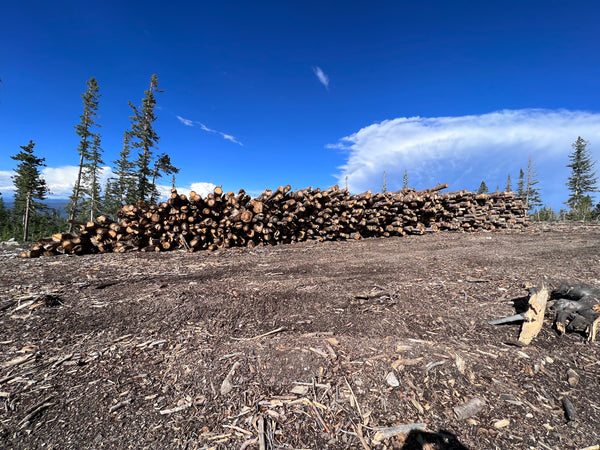 Land Clearing