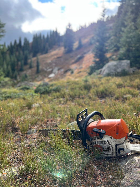 Logging