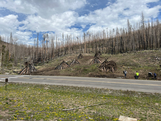 Forestry Cleanup