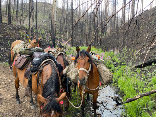 Trail Work