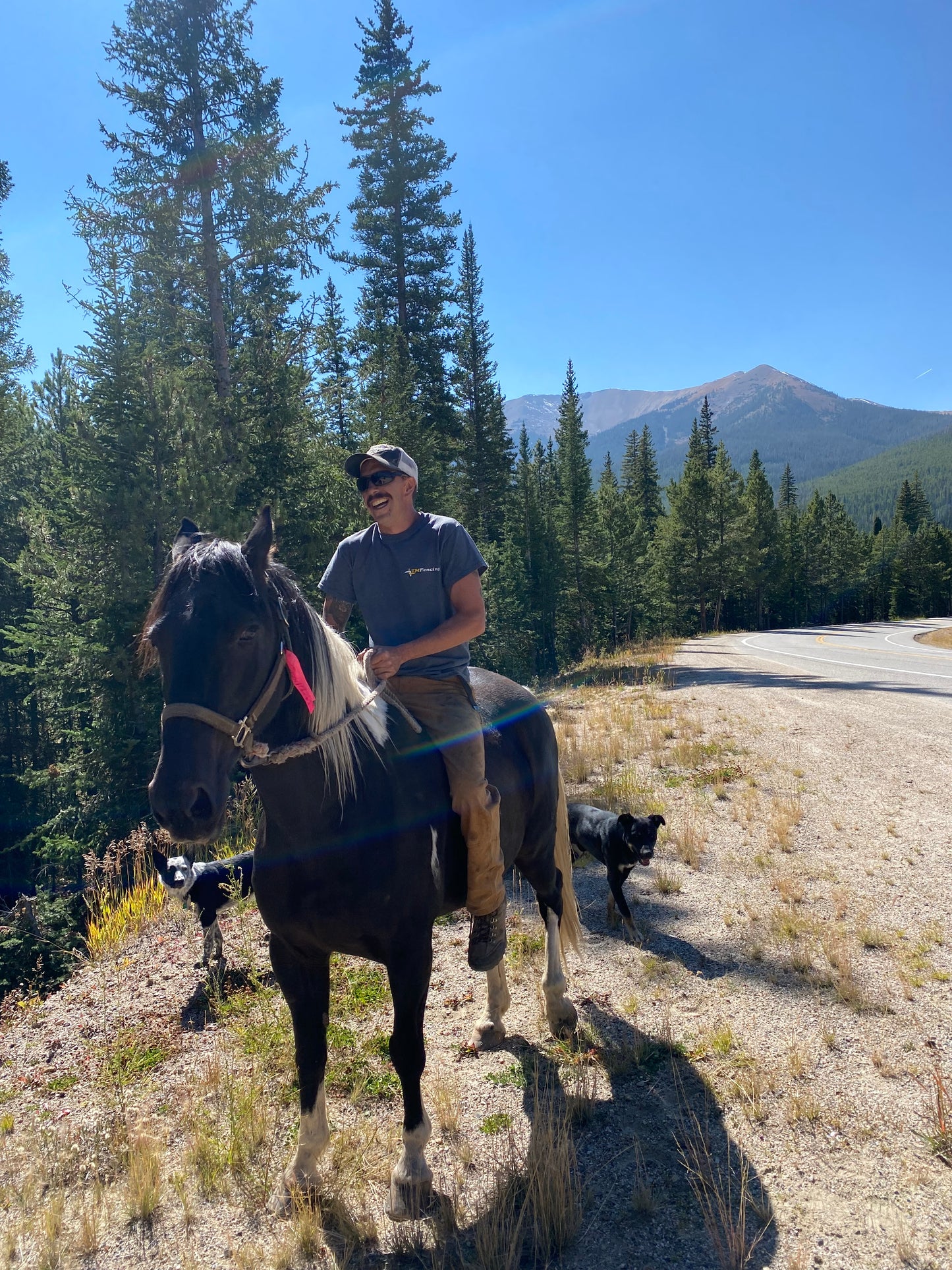 Trail Clearing